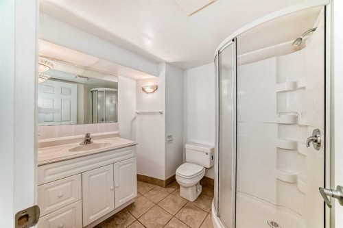 42 Ypres Green Sw, Calgary, AB - Indoor Photo Showing Bathroom