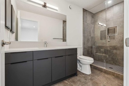 228 Sovereign Common Sw, Calgary, AB - Indoor Photo Showing Bathroom