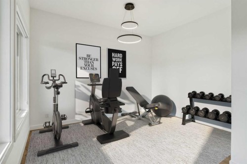 228 Sovereign Common Sw, Calgary, AB - Indoor Photo Showing Gym Room