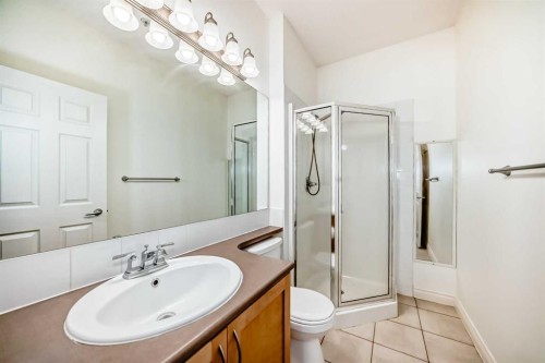 308-11170 30 Street Sw, Calgary, AB - Indoor Photo Showing Bathroom