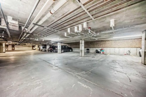 308-11170 30 Street Sw, Calgary, AB - Indoor Photo Showing Garage