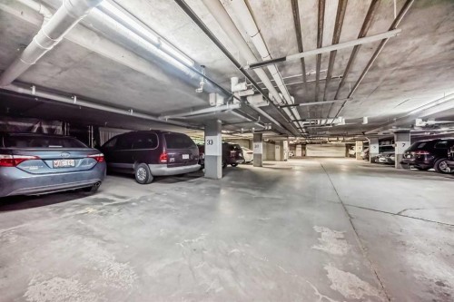 308-11170 30 Street Sw, Calgary, AB - Indoor Photo Showing Garage