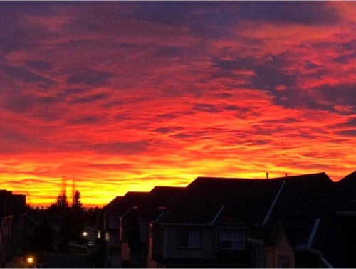 308-11170 30 Street Sw, Calgary, AB - Outdoor With View