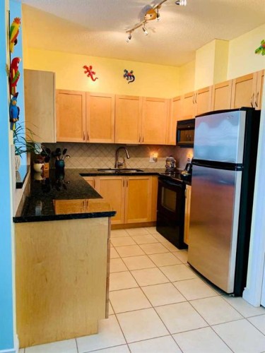 308-11170 30 Street Sw, Calgary, AB - Indoor Photo Showing Kitchen With Stainless Steel Kitchen