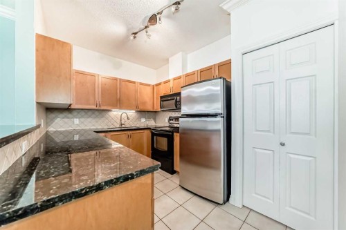 308-11170 30 Street Sw, Calgary, AB - Indoor Photo Showing Kitchen With Stainless Steel Kitchen With Double Sink