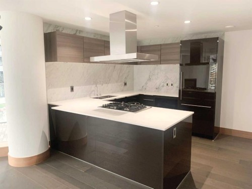 301-738 1 Avenue Sw, Calgary, AB - Indoor Photo Showing Kitchen