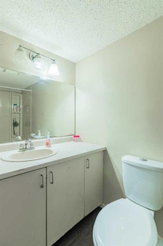 143 Castlegrove Road Ne, Calgary, AB - Indoor Photo Showing Bathroom