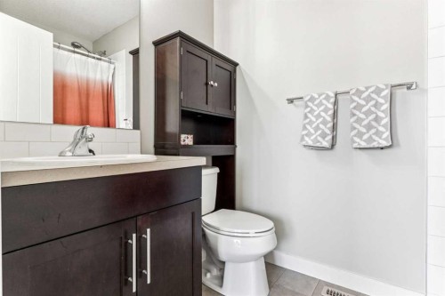 79 Redstone Circle Ne, Calgary, AB - Indoor Photo Showing Bathroom