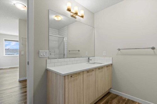 92 Saddlestone Drive Ne, Calgary, AB - Indoor Photo Showing Bathroom