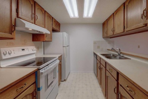 403-2011 University Drive Nw, Calgary, AB - Indoor Photo Showing Kitchen With Double Sink