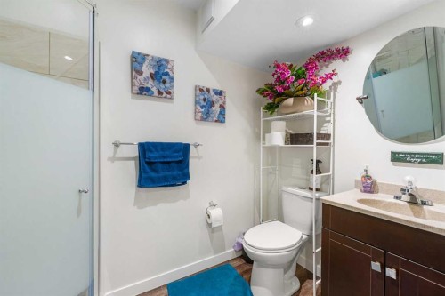 47 Martindale Mews Ne, Calgary, AB - Indoor Photo Showing Bathroom