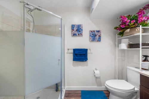 47 Martindale Mews Ne, Calgary, AB - Indoor Photo Showing Bathroom