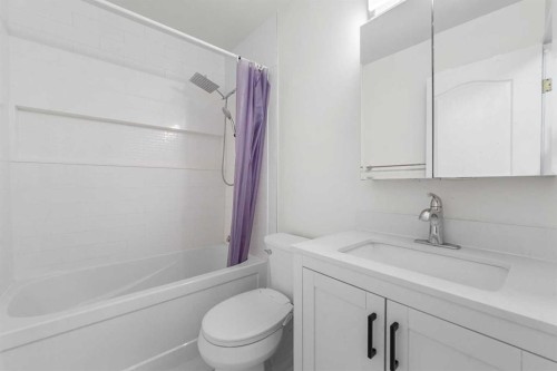 47 Martindale Mews Ne, Calgary, AB - Indoor Photo Showing Bathroom
