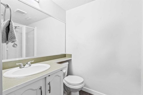 295 Coventry Road Ne, Calgary, AB - Indoor Photo Showing Bathroom