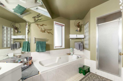 2219 Westmount Road Nw, Calgary, AB - Indoor Photo Showing Bathroom