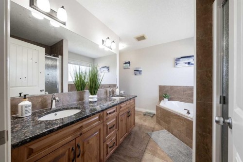 178 Prairie Springs Crescent Sw, Airdrie, AB - Indoor Photo Showing Bathroom