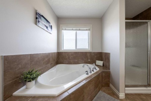 178 Prairie Springs Crescent Sw, Airdrie, AB - Indoor Photo Showing Bathroom