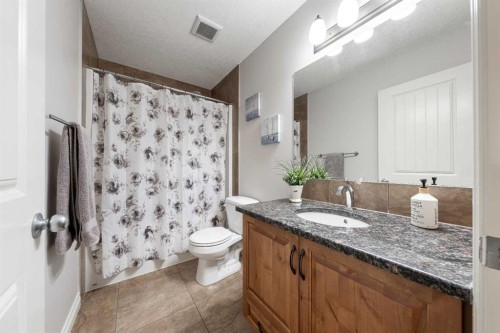 178 Prairie Springs Crescent Sw, Airdrie, AB - Indoor Photo Showing Bathroom
