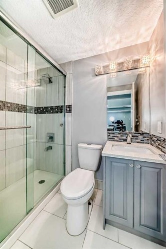 42 Taraglen Road Ne, Calgary, AB - Indoor Photo Showing Bathroom