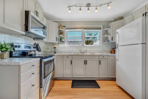 4771 Rundlehorn Drive Ne, Calgary, AB - Indoor Photo Showing Kitchen With Stainless Steel Kitchen