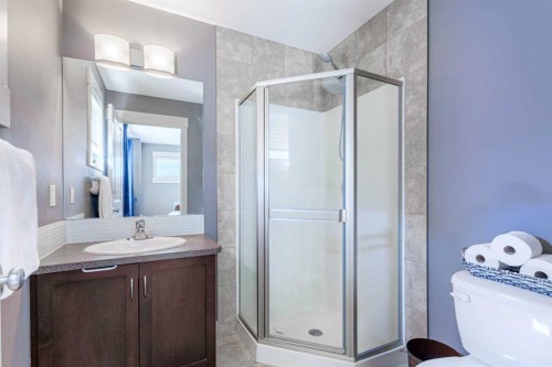 73 Skyview Springs Circle Ne, Calgary, AB - Indoor Photo Showing Bathroom