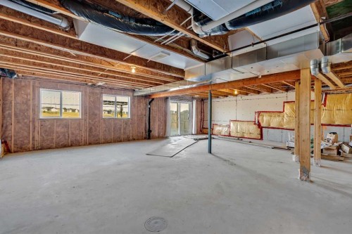 223 Cityscape Gardens Ne, Calgary, AB - Indoor Photo Showing Basement