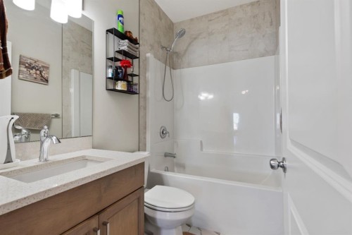 32 Cornerbrook Common Ne, Calgary, AB - Indoor Photo Showing Bathroom
