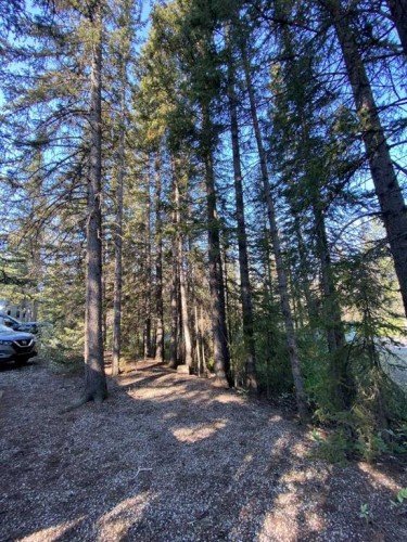 270-5230-Highway 27 Timber Ridge, Sundre, AB 