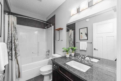 370 Williamstown Green Nw, Airdrie, AB - Indoor Photo Showing Bathroom