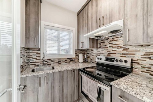 70 Martha'S Meadow Close Ne, Calgary, AB - Indoor Photo Showing Kitchen With Upgraded Kitchen