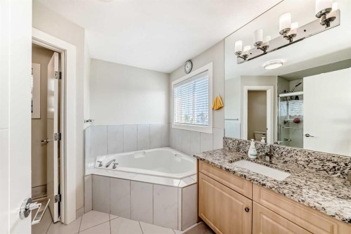 70 Martha'S Meadow Close Ne, Calgary, AB - Indoor Photo Showing Bathroom