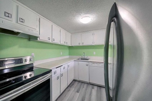 206-2200 Woodview Drive Sw, Calgary, AB - Indoor Photo Showing Kitchen