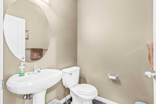 116 Willowmere Way, Chestermere, AB - Indoor Photo Showing Bathroom