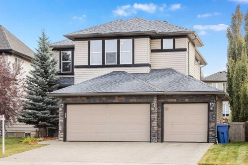 116 Willowmere Way, Chestermere, AB - Outdoor