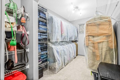 116 Willowmere Way, Chestermere, AB - Indoor With Storage