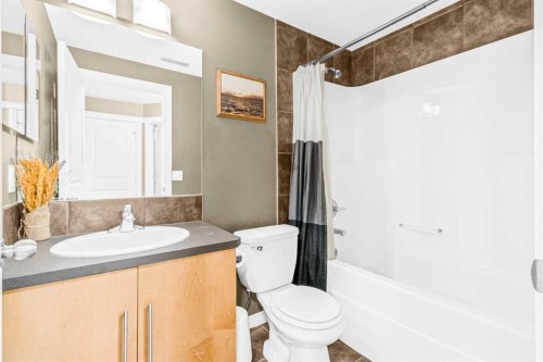 116 Willowmere Way, Chestermere, AB - Indoor Photo Showing Bathroom
