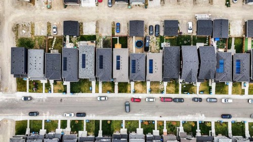 244 Cornerstone Grove Ne, Calgary, AB - Other