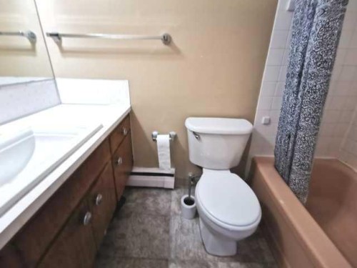224-8235 Elbow Drive Sw, Calgary, AB - Indoor Photo Showing Bathroom