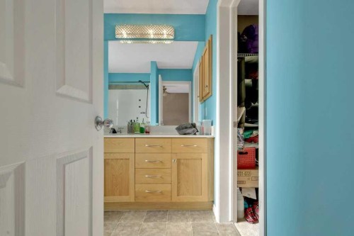 #1201-2384 Sagewood Gate Sw, Airdrie, AB - Indoor Photo Showing Bathroom