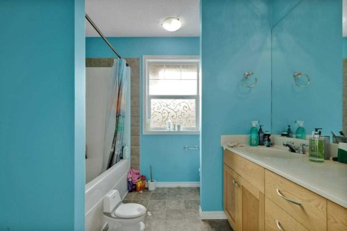 #1201-2384 Sagewood Gate Sw, Airdrie, AB - Indoor Photo Showing Bathroom
