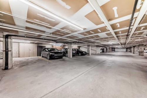 304-7 Somervale View Sw, Calgary, AB - Indoor Photo Showing Garage
