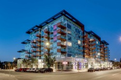 423-110 18A Street NW Calgary, AB T2N 5G5