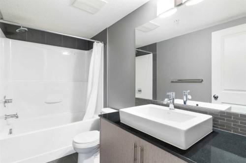 2110-240 Skyview Ranch Road Ne, Calgary, AB - Indoor Photo Showing Bathroom
