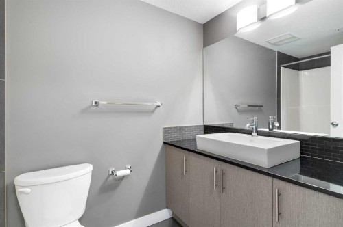 2110-240 Skyview Ranch Road Ne, Calgary, AB - Indoor Photo Showing Bathroom