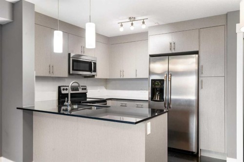 2110-240 Skyview Ranch Road Ne, Calgary, AB - Indoor Photo Showing Kitchen With Stainless Steel Kitchen With Upgraded Kitchen