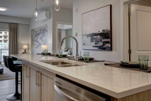 409-245 Edith Place Nw, Calgary, AB - Indoor Photo Showing Kitchen With Double Sink