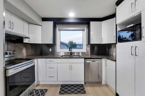251 Rundlecairn Road Ne, Calgary, AB - Indoor Photo Showing Kitchen With Double Sink