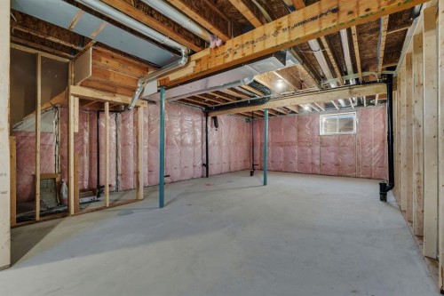351 Fireside Drive, Cochrane, AB - Indoor Photo Showing Basement