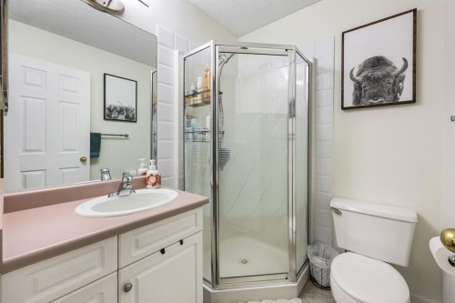 10 Big Springs Hill Se, Airdrie, AB - Indoor Photo Showing Bathroom