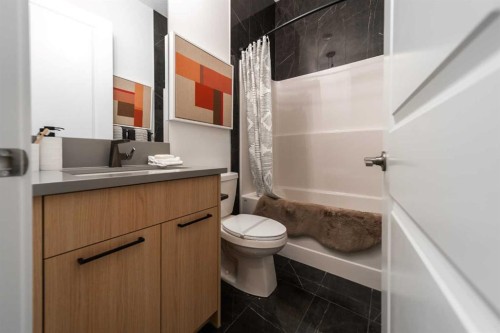 203 Lucas Common Nw, Calgary, AB - Indoor Photo Showing Bathroom